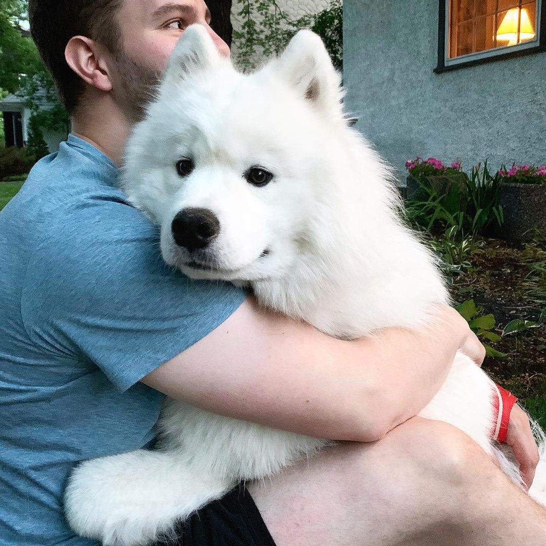 Kid’s getting big #nationaldogday — @bradcerasani on Instagram